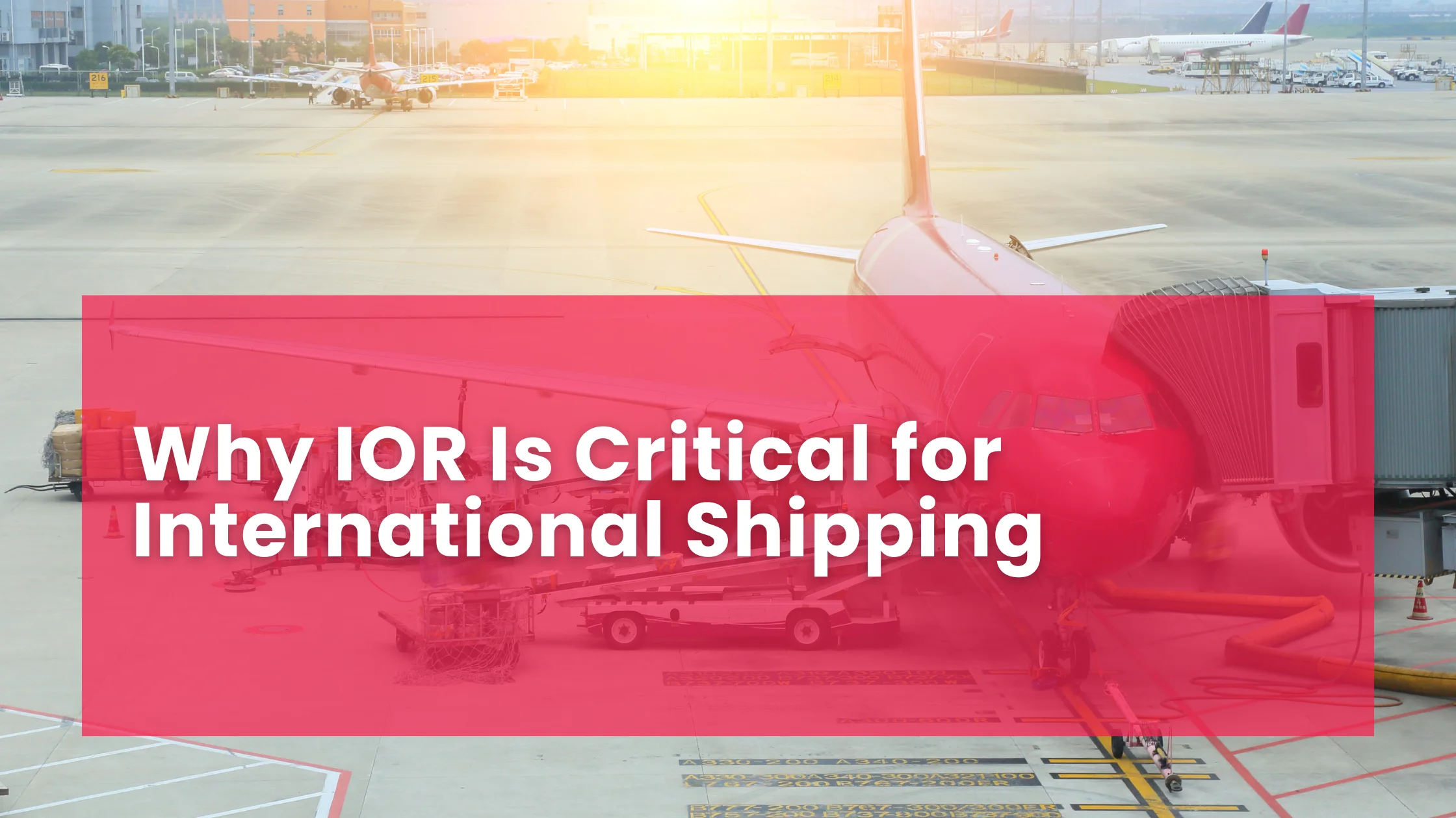Why IOR Is Critical for International Shipping