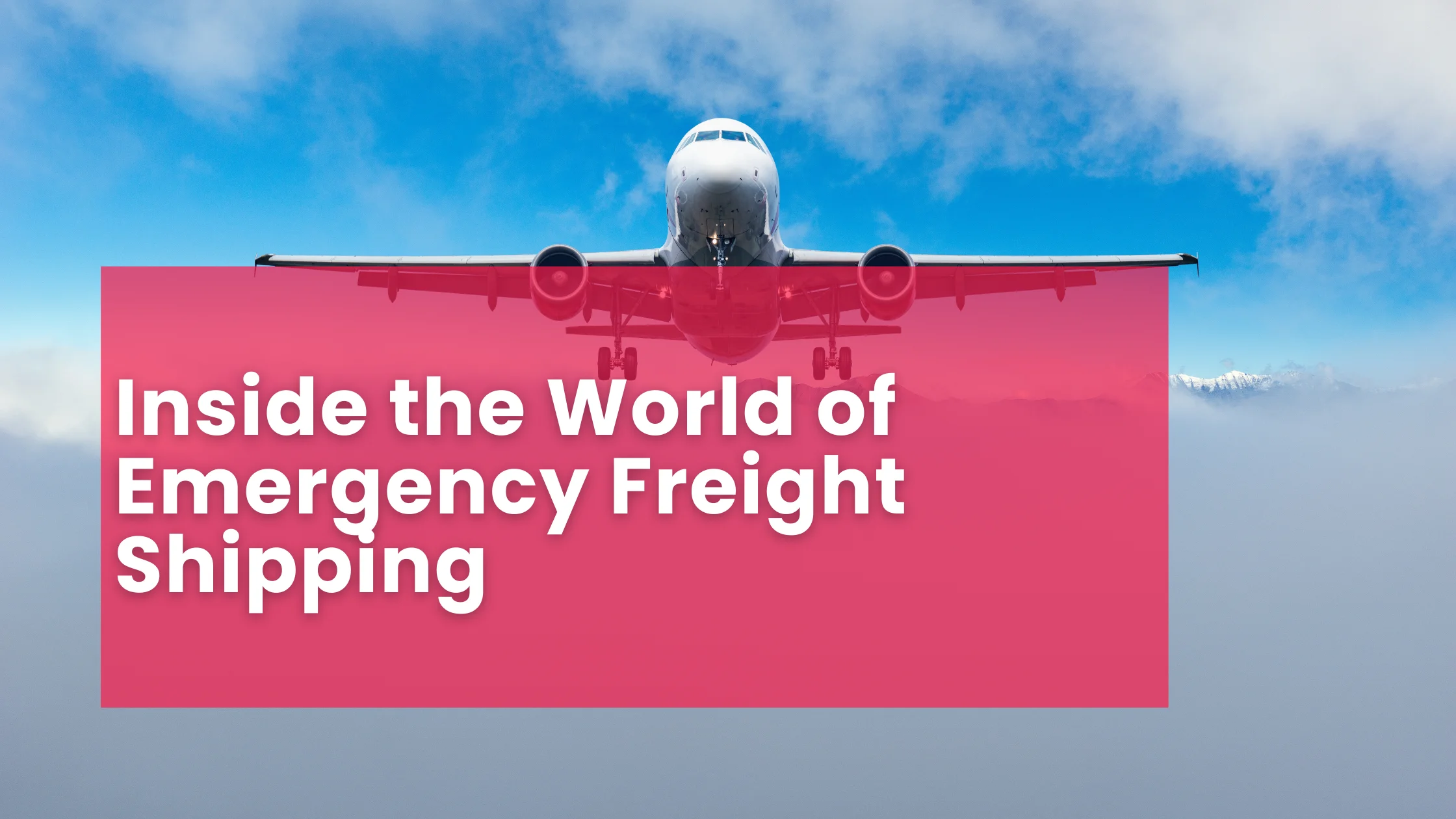 Inside the World of Emergency Freight Shipping
