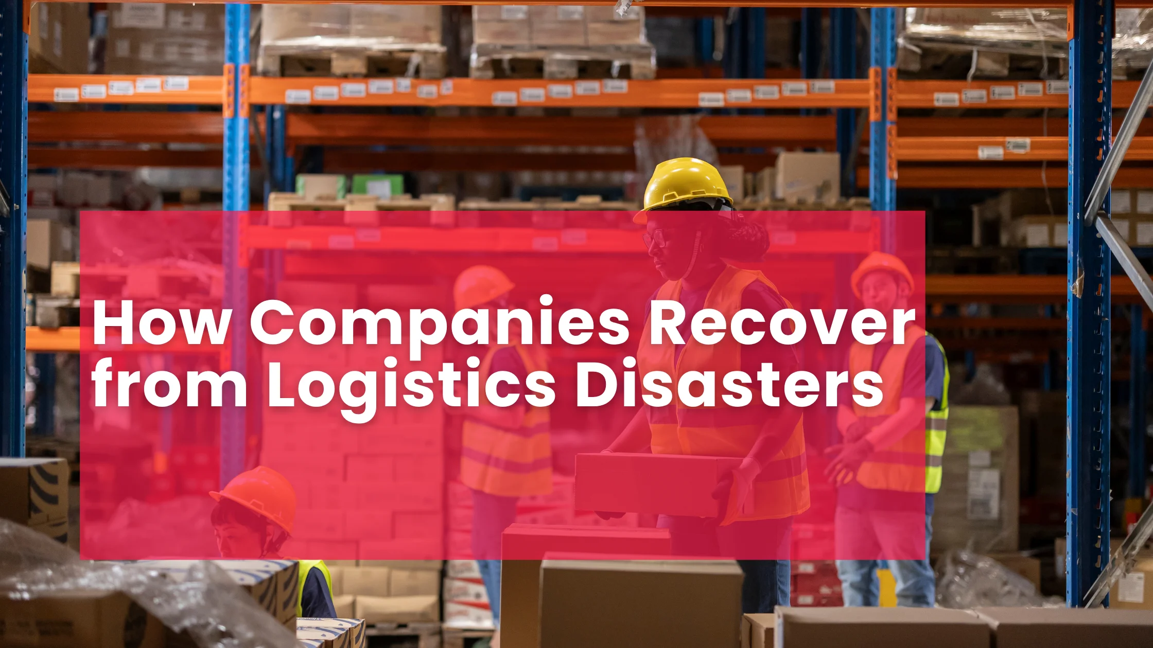 How Companies Recover from Logistics Disasters