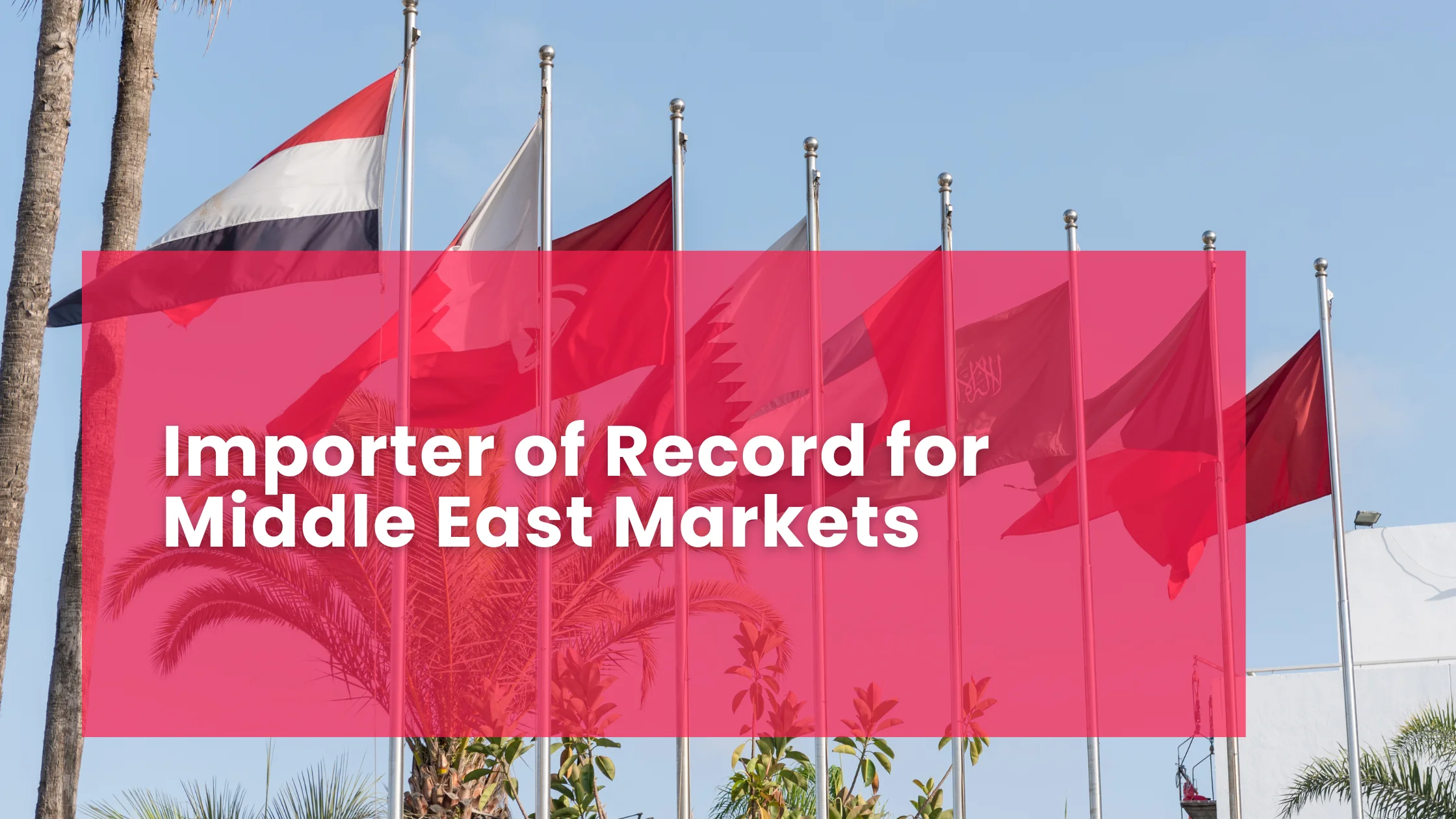 Importer of Record for Middle East Markets