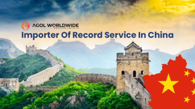 Importer Of Record Service In China